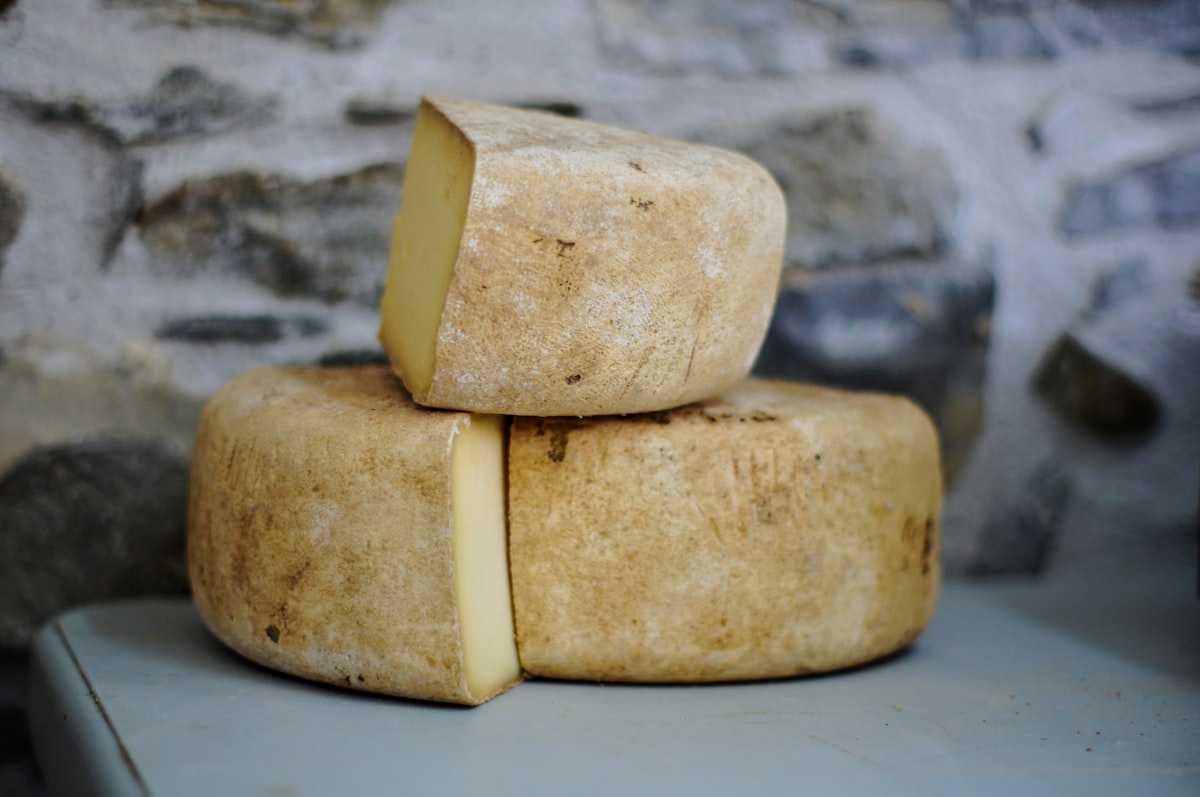 New Zealand artisan cheese and dairy products